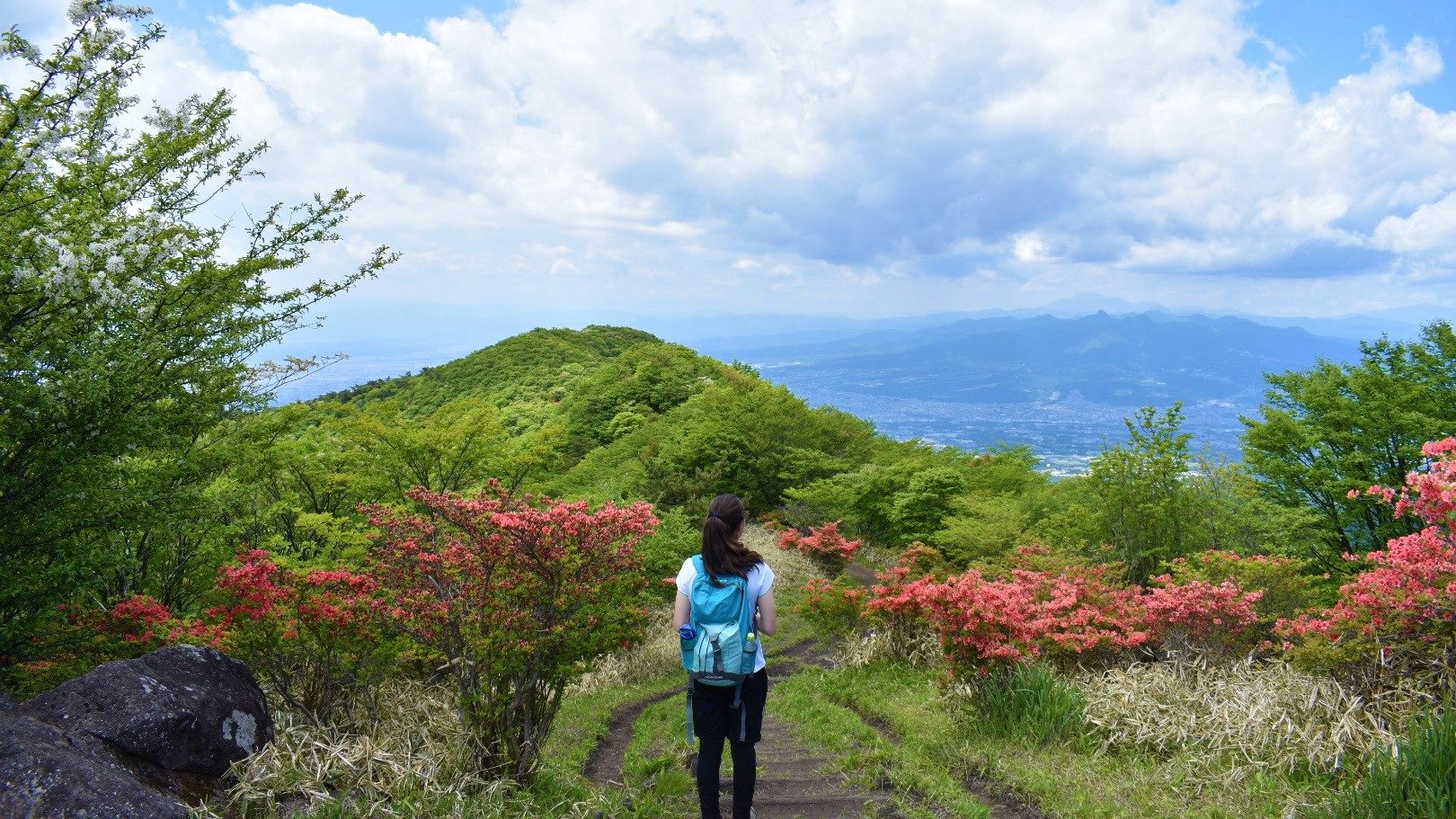 Azaleas and a great view from Nabewari ridgeline